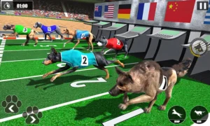 Khám Phá Cách Chơi Game Nhanh Đua Chó Tại F168 Với Cơ Hội Thắng Lớn