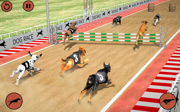 Khám Phá Cách Chơi Game Nhanh Đua Chó Tại F168 Với Cơ Hội Thắng Lớn