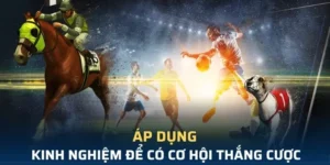 Tìm Hiểu Cá Cược Thể Thao Ảo F168 Kinh Nghiệm Chơi Và Cách Thắng Hiệu Quả